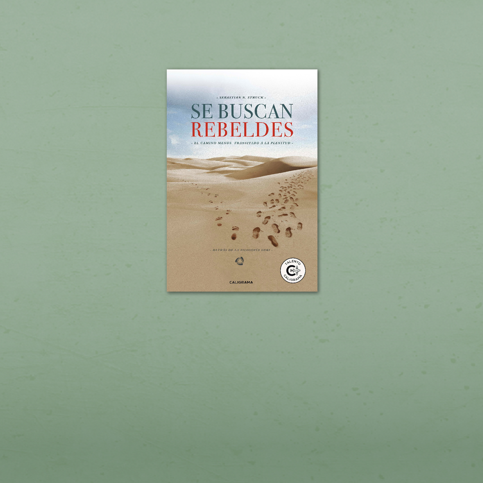 Libro “Se buscan Rebeldes”